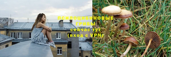 МДПВ Алексин