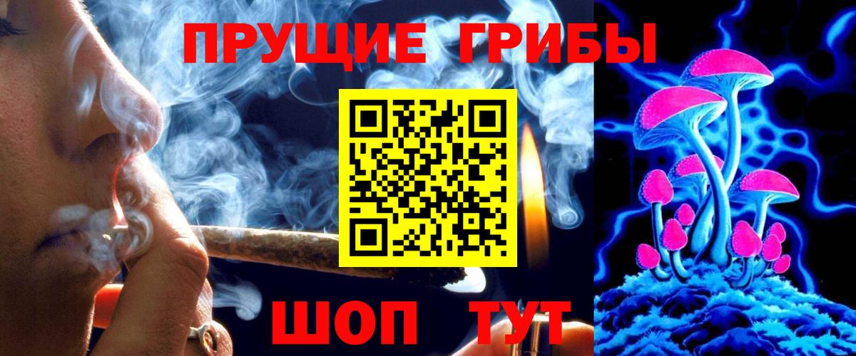 Псилоцибиновые грибы Psilocybine cubensis Гуково