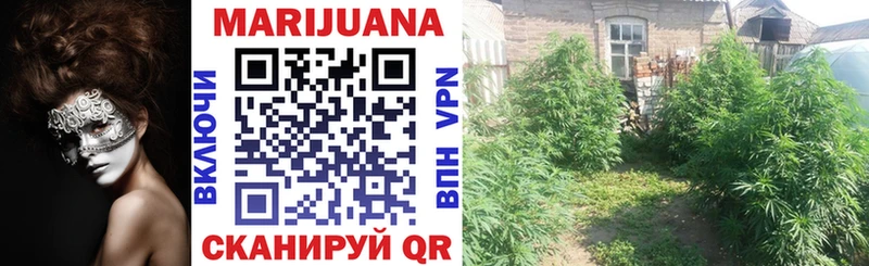 Шишки марихуана SATIVA & INDICA  Гуково 